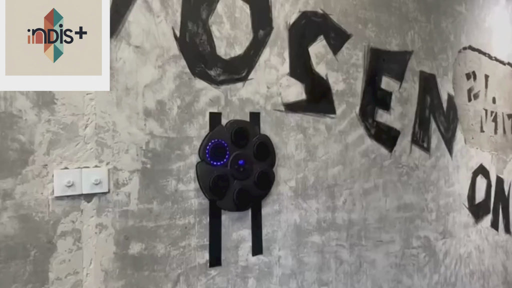 Cible de Boxe Interactive Bluetooth – Smart Boxing 4/6 Touches